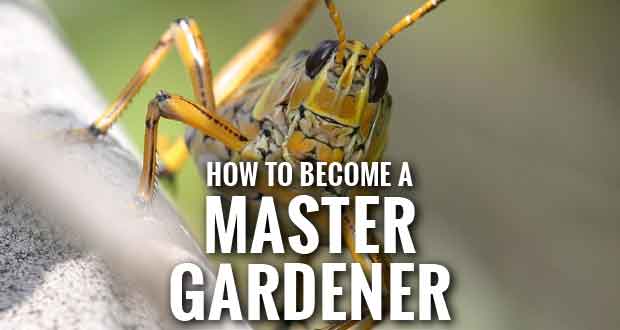 Tulare County Master Gardener Program