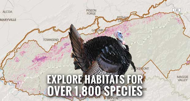 Great Smoky Mountains National Park has released a web application called Species Mapper that lets users explore habitats for over 1,800 species.