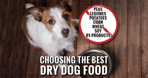Dilated Cardiomyopathy and Choosing the Best Dog Food without Peas, Legumes Or Potatoes