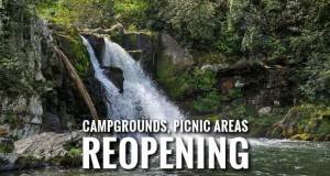 Smokies Campgrounds and Picnic Areas Reopen after COVID-19 Closure