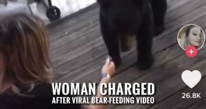 Gatlinburg Tourist Faces Jail Time, Fine for Feeding Bear