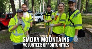 Fall into Volunteerism with Smokies Service Days