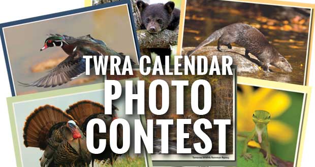 TWRA Photo Contest For Tennessee Wildlife Calendar