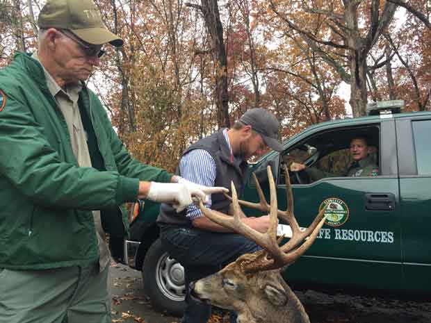 Jefferson Co. Man Fined Nearly $10K For Illegally Killing Trophy Buck ...